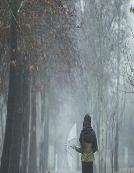 رمان دریچه | Shazde koochool