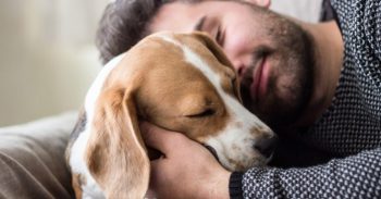 sleep with dog FI 768x402 1