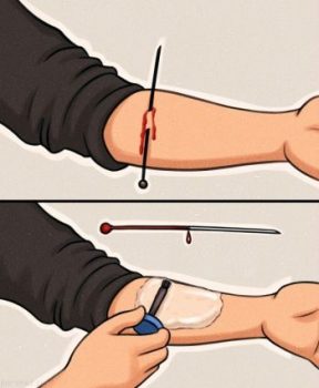 1684653259 parsnaz com