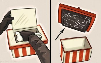 788185478 parsnaz com