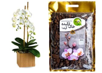 روش نگهداری گل ارکیده
